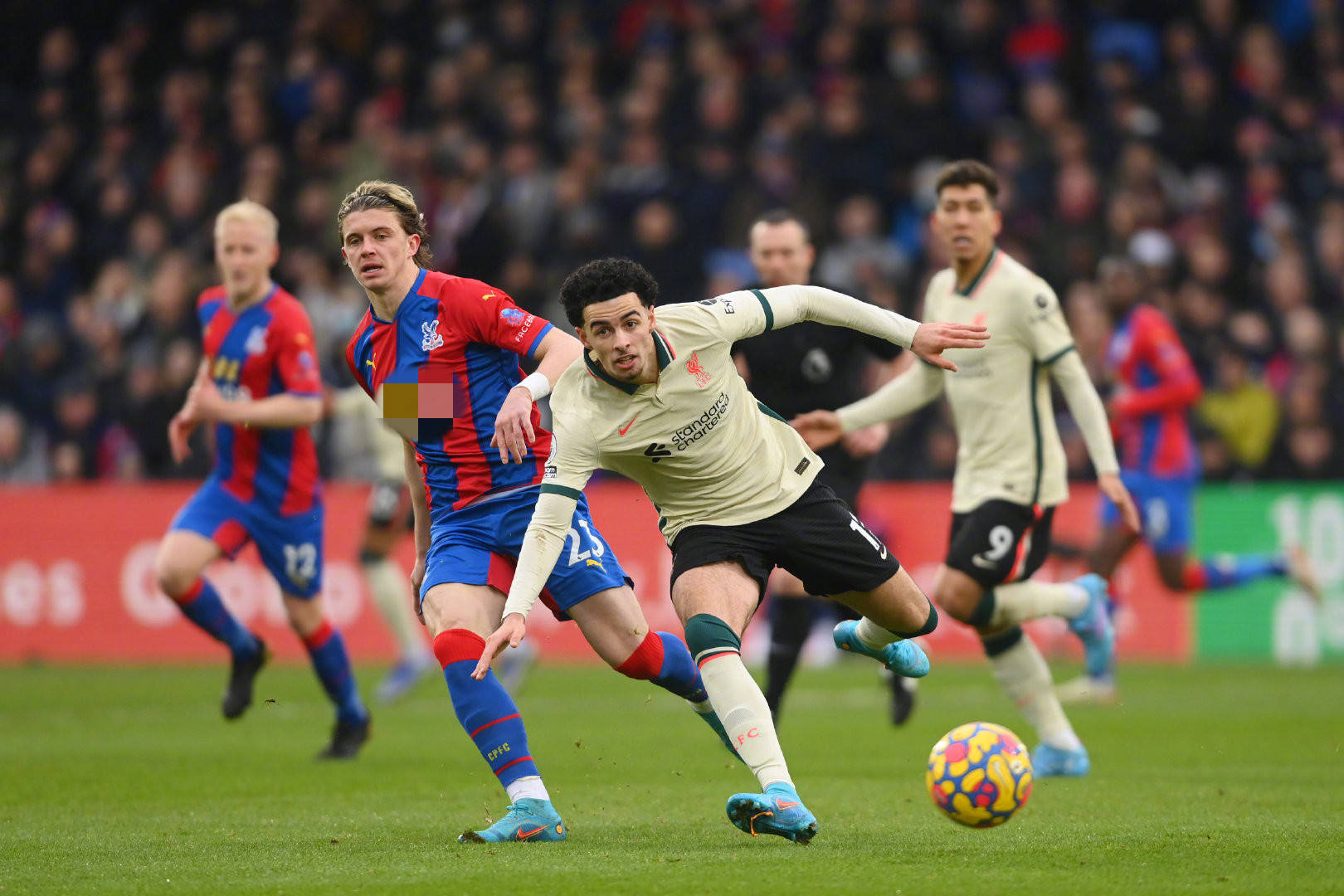 亮点无疑是 亮点无疑是